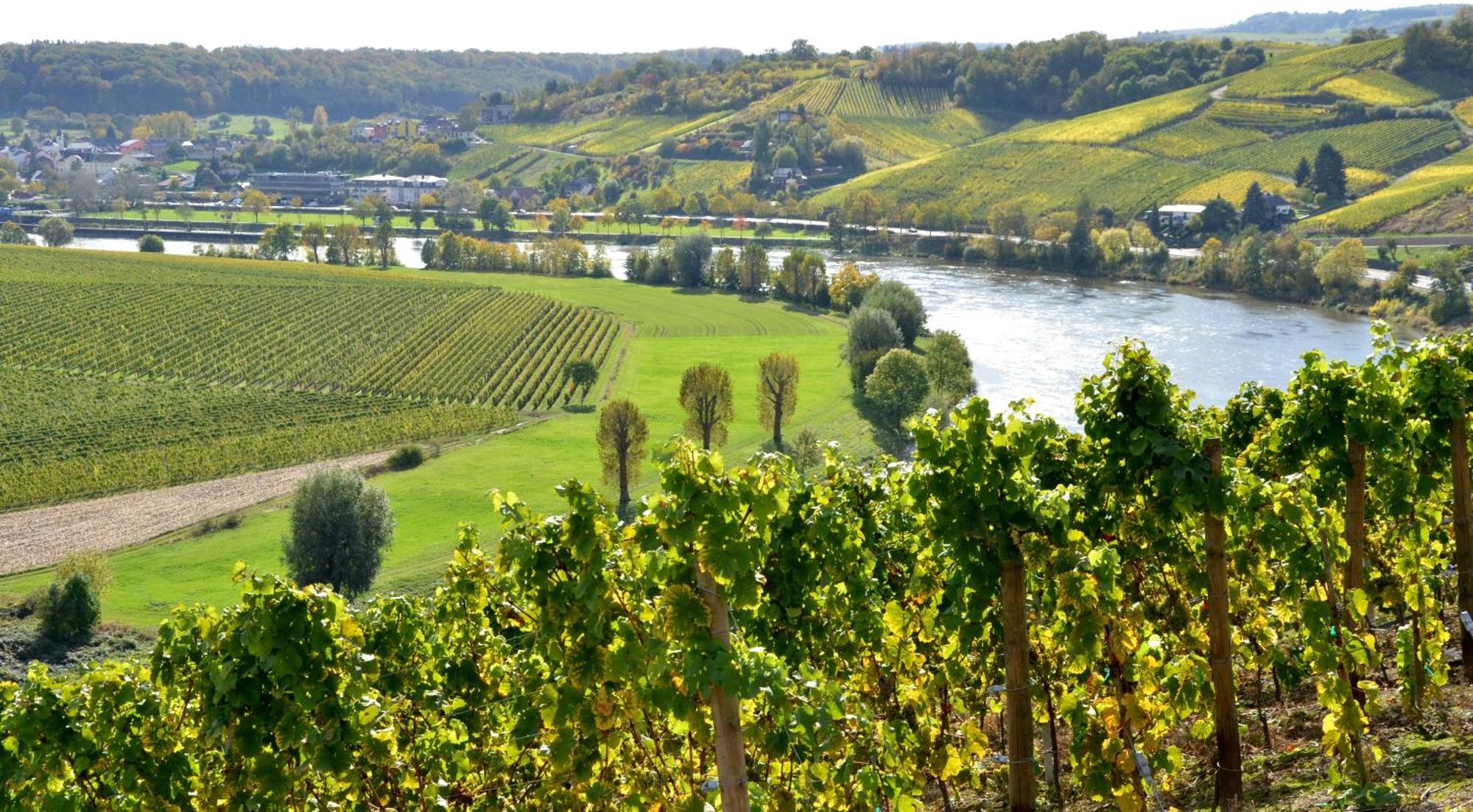De L'ecluse Superior Stadtbredimus